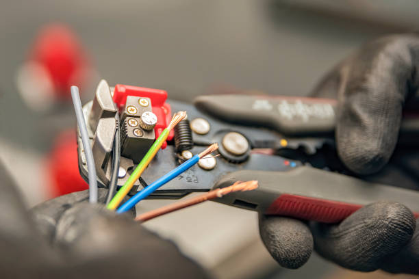 Best Local Electrician Companies  in Borrego Springs, CA